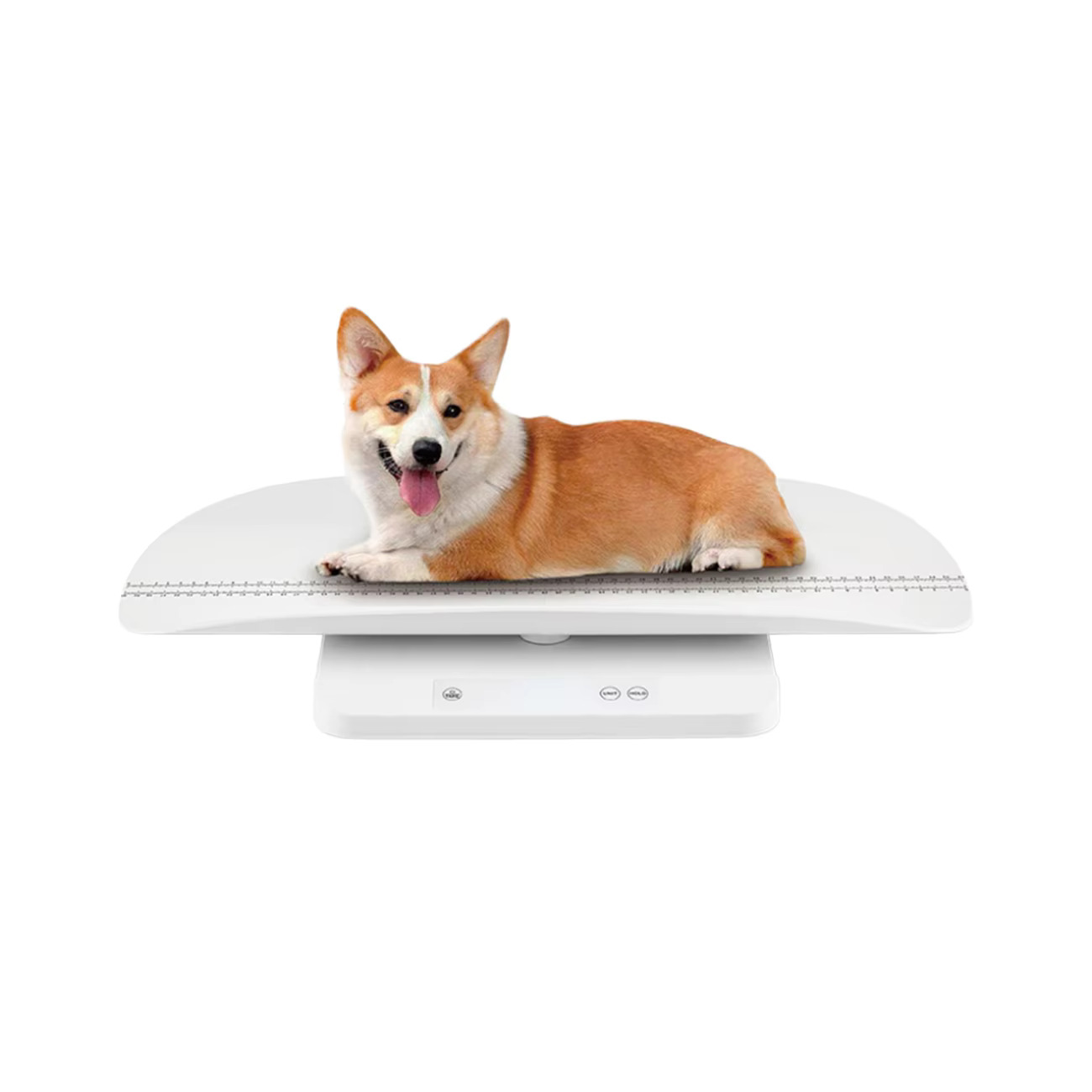 Digital Livestock Weight Scale with Cattle Cages