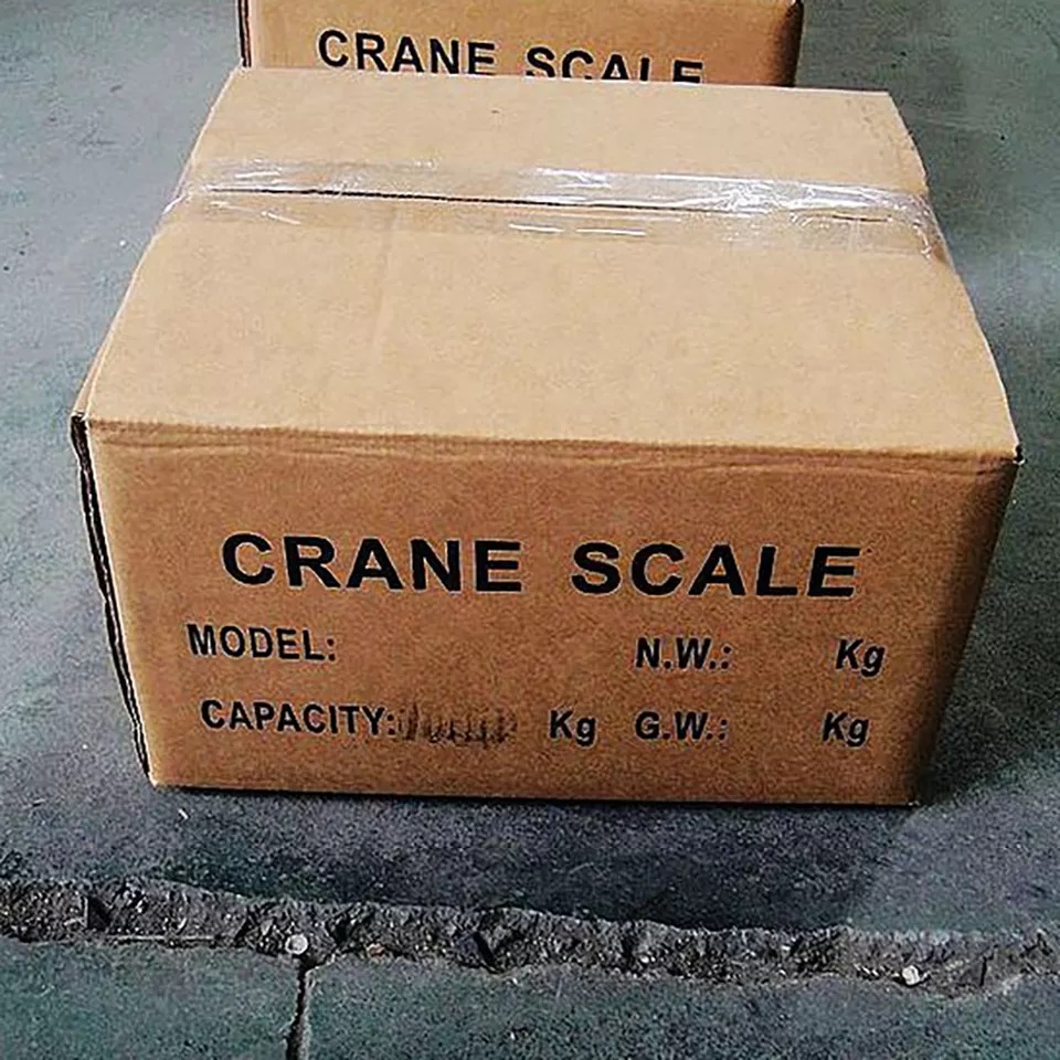 📌 LCD Backlit Indicator Crane Scale – 300 kg