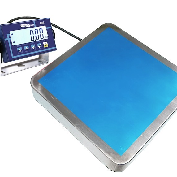 Powder-Coated Platform floor weighing scale