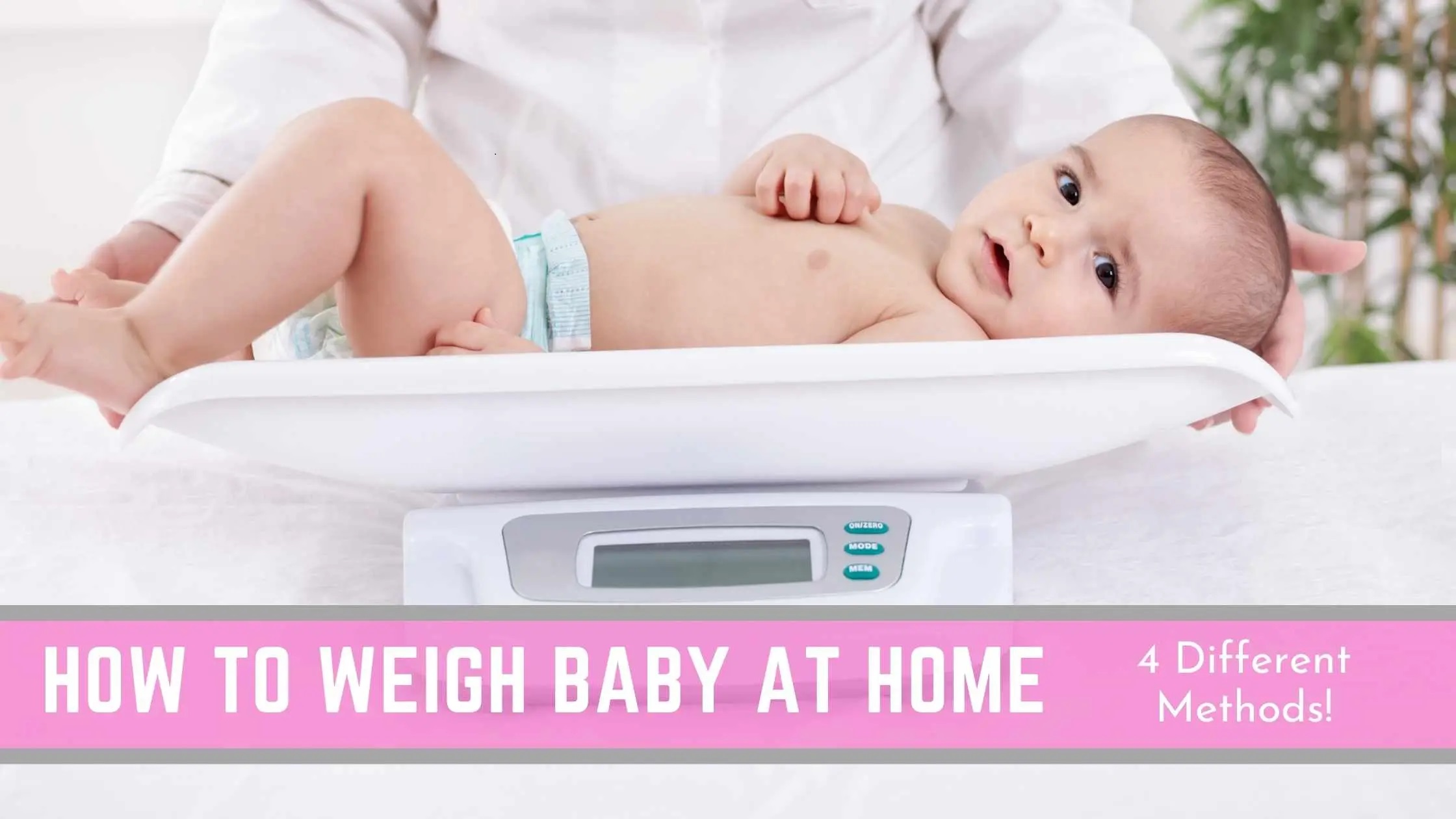 16kg capacity digital baby scale