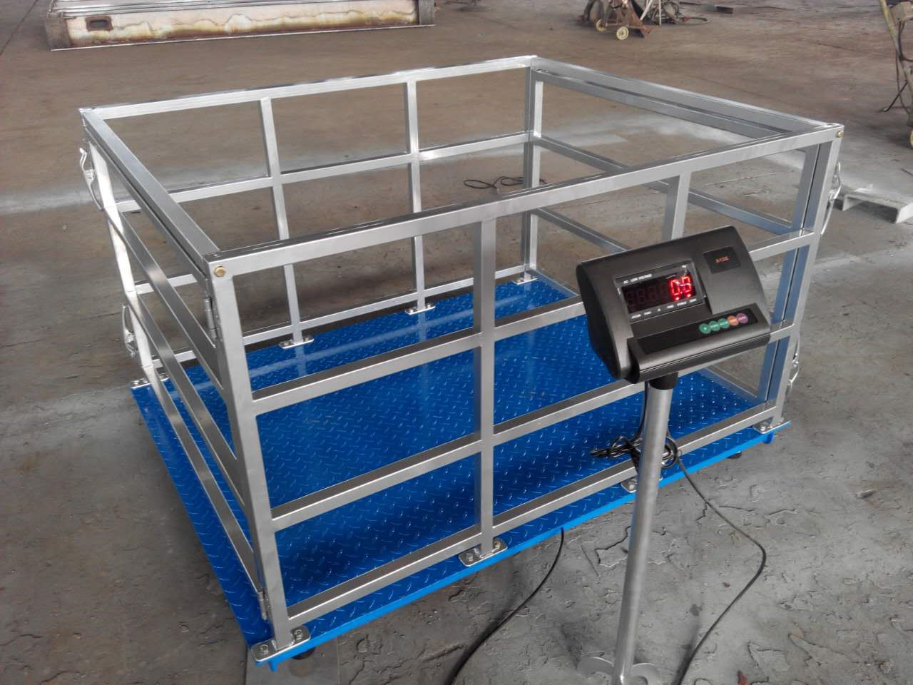 Digital Platform Livestock Farm Veterinary Scale (300kg / 500kg, 0.1kg Accuracy)