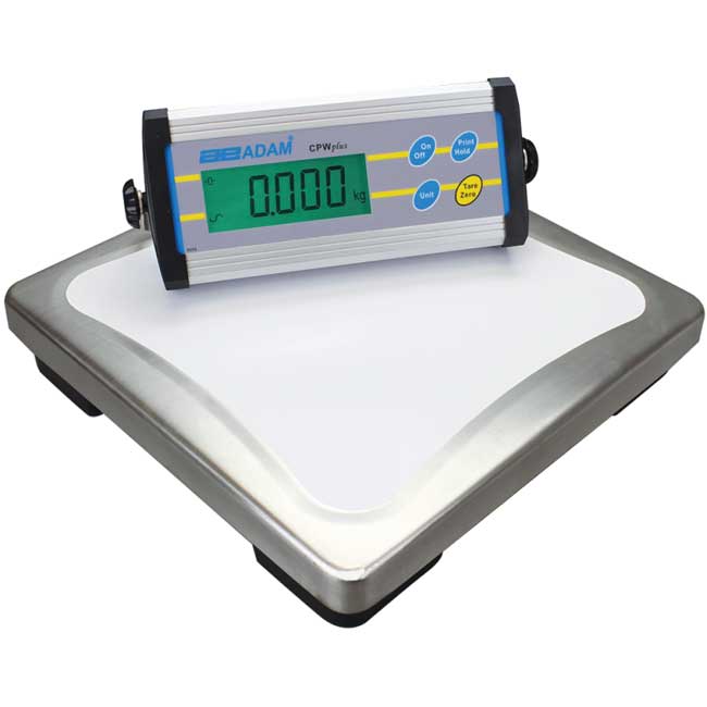 floor weighing scale with ramp services and calibration
