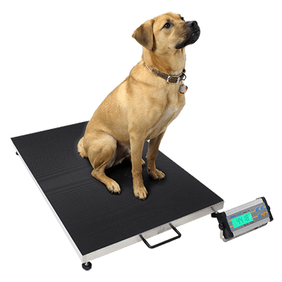Precision Veterinary Scale for Dogs, Cats & Small Animals