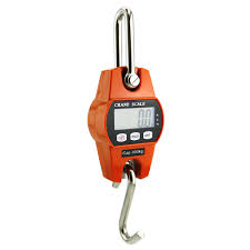 Digital Crane Weighing Scales – Kampala, Uganda