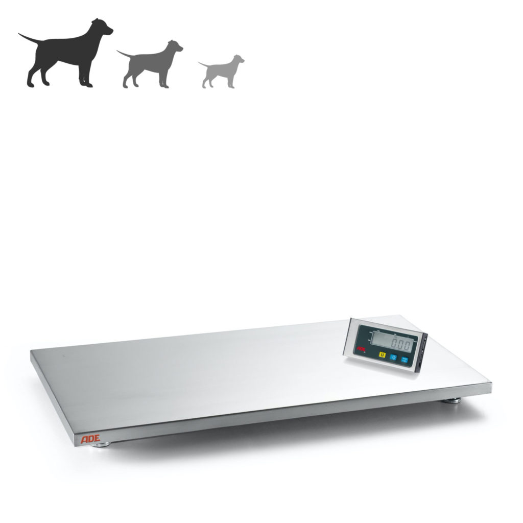Professional stand on medical weighing scale from wholesaler shop Kasubi