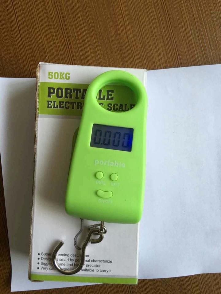 Precise Digital Luggage Hanging Scales