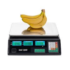 Electronic Weighing Scales with Price Display