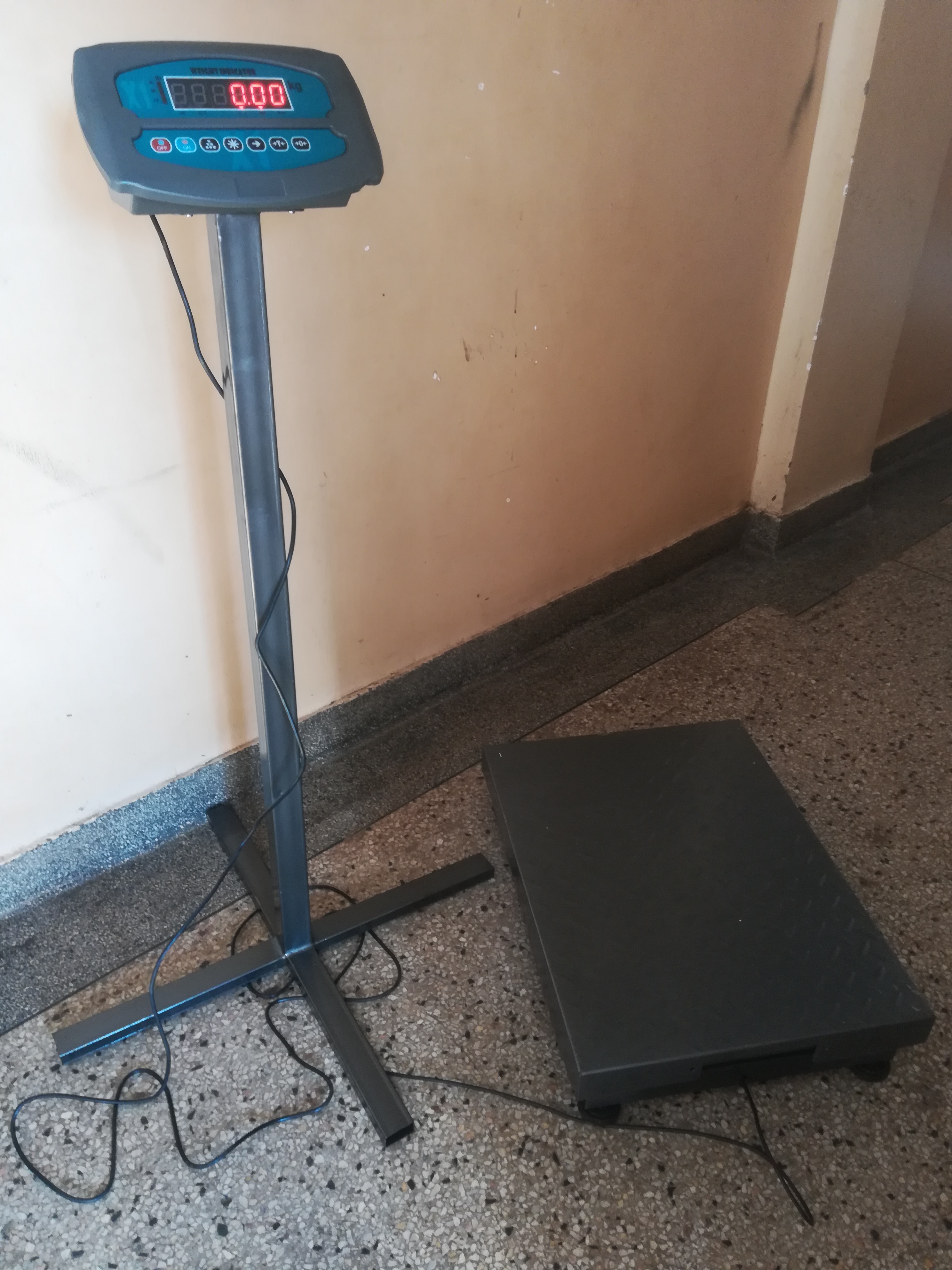 Platform Weighing Scale Series with Rechargeable Battery Pack