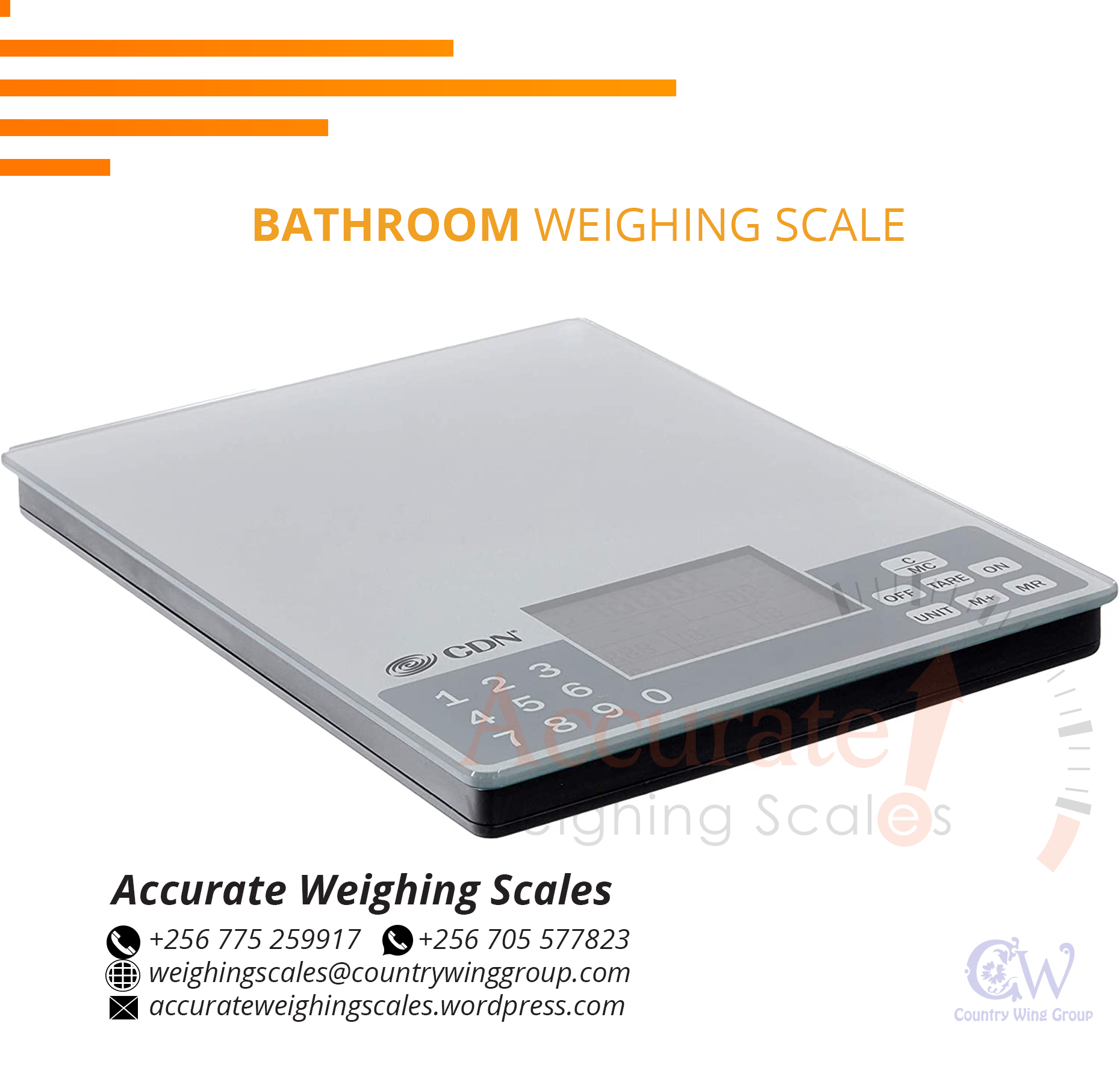 Modern & Stylish Design Body weight scales
