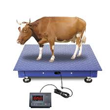 user-friendly veterinary Animal Platform Scale