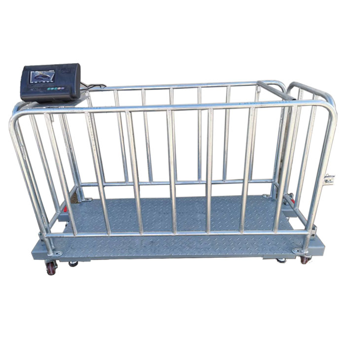 Digital Livestock Weight Scale with Cattle Cages