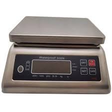 Industrial waterproof weighing Scale