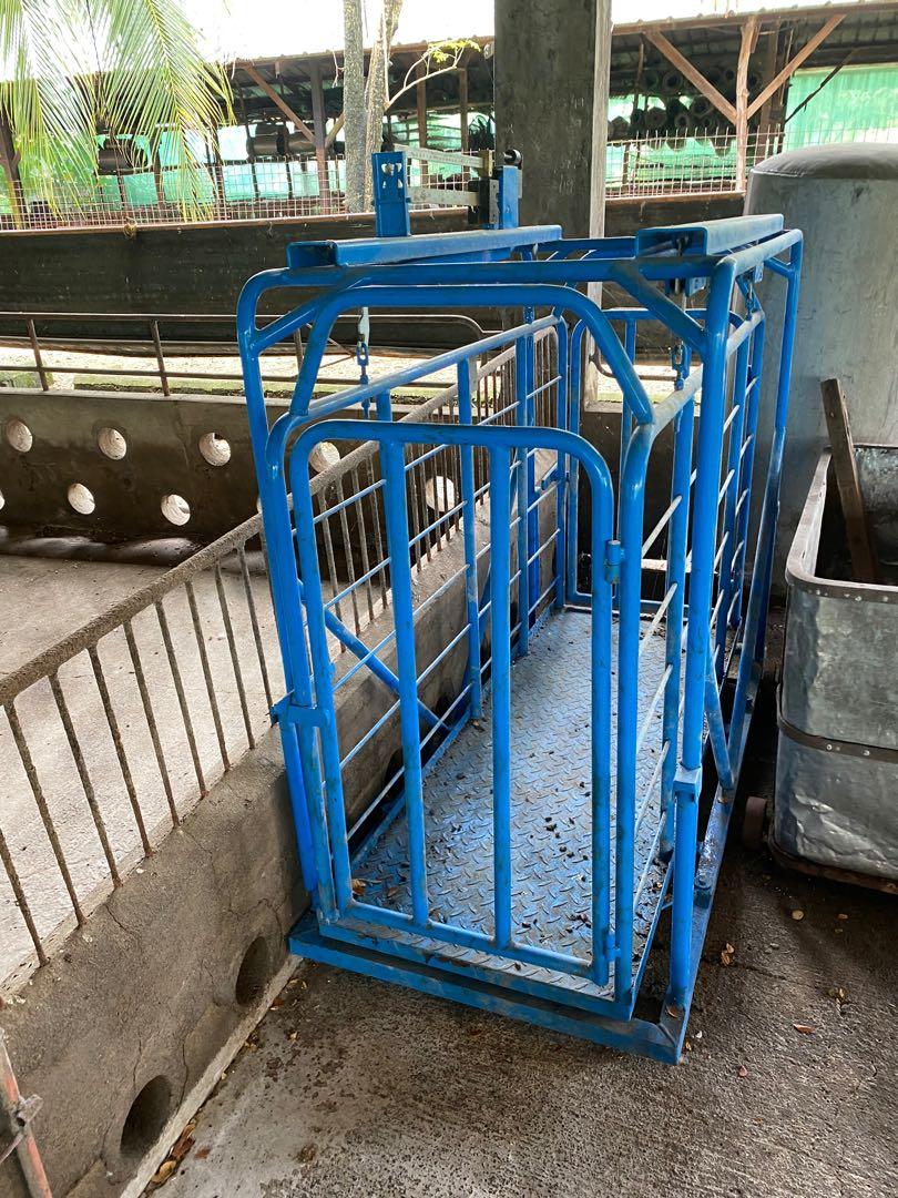 Versatile Vet-Deck with Cage Animal Weighing Scale