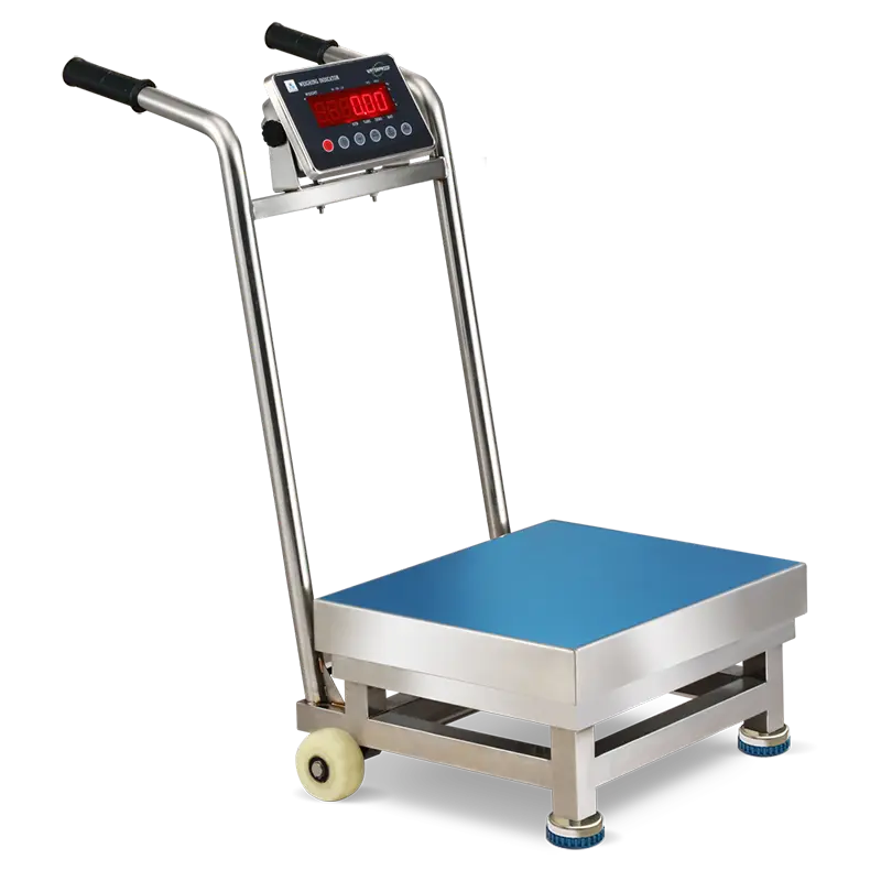 Weighing Without Worry: How Waterproof Scales Perform