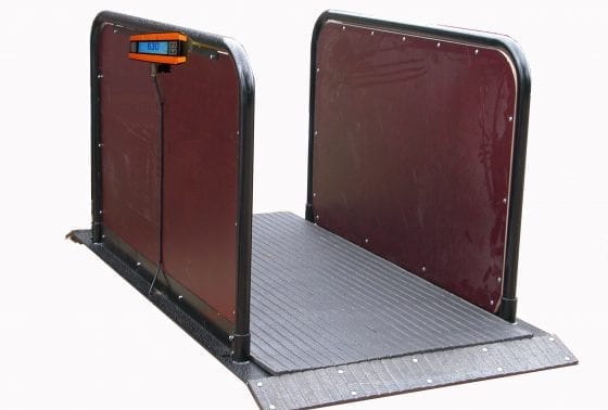 Cattle weighing scales with accuracy of 0.5kg in Kigezi