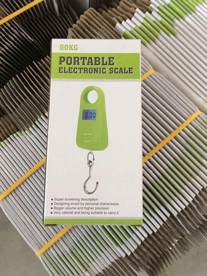 Portable Luggage Scale