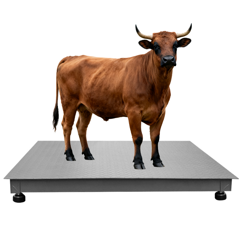 Digital Livestock Veterinary Animal 500kg Platform Scale