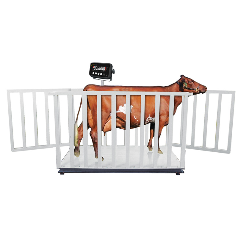 permanent squeeze chute scales (for cattle) or portable crate scales
