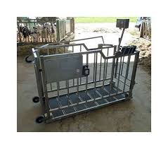 60 × 40 cm to 120 × 80 cm heavy-duty steel veterinary Scales