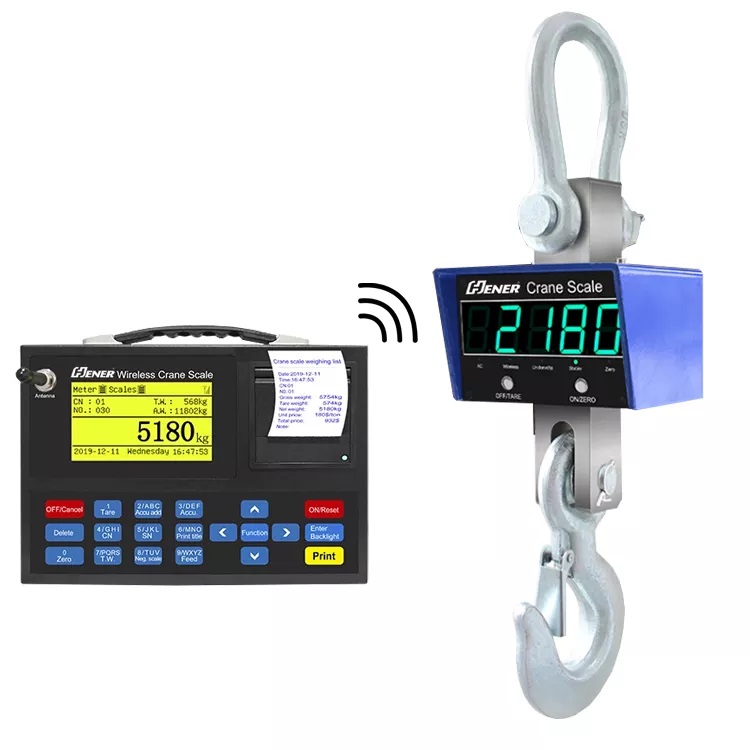 Electronic 300 kg Crane Weighing Scale Equipment