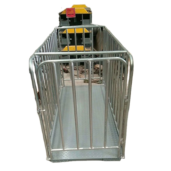 Accurate Weighing Scales – Kampala, Uganda