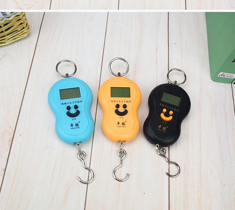 Luggage Scale for Hanging