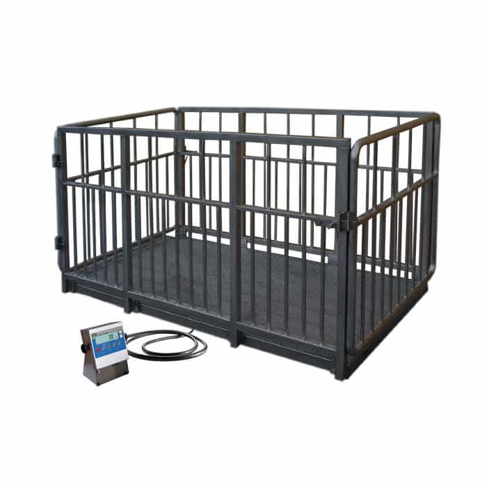 Cattle Weight Scale with Weight Function and Cages