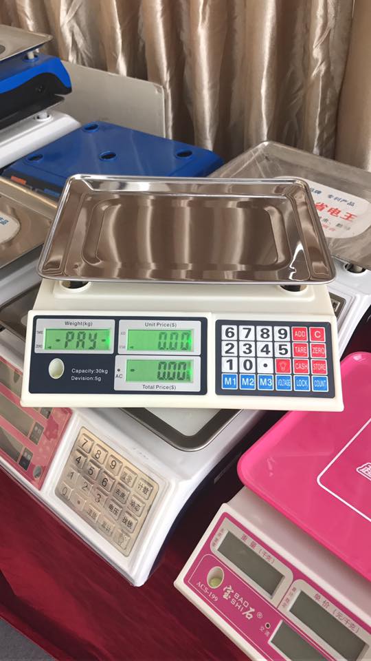 Digital Price Computing Scale (30kg) – Product Description