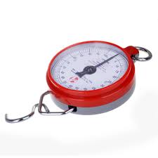 Hanson dial crane weighing scale to transact local business