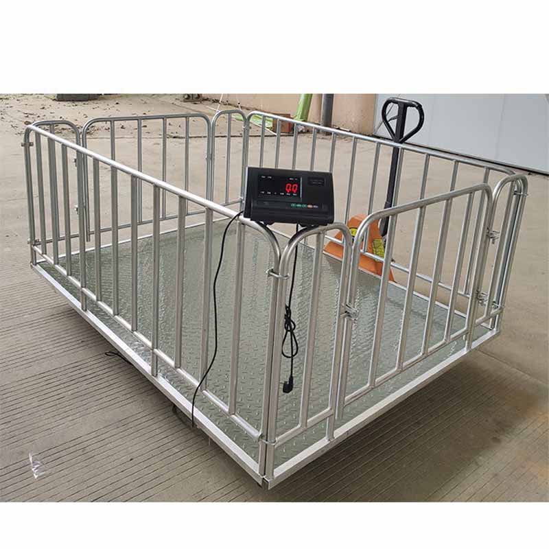 Livestock Scales Kampala