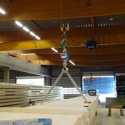 Industrial Hanging Crane Scale – Digital Weighing Specifications