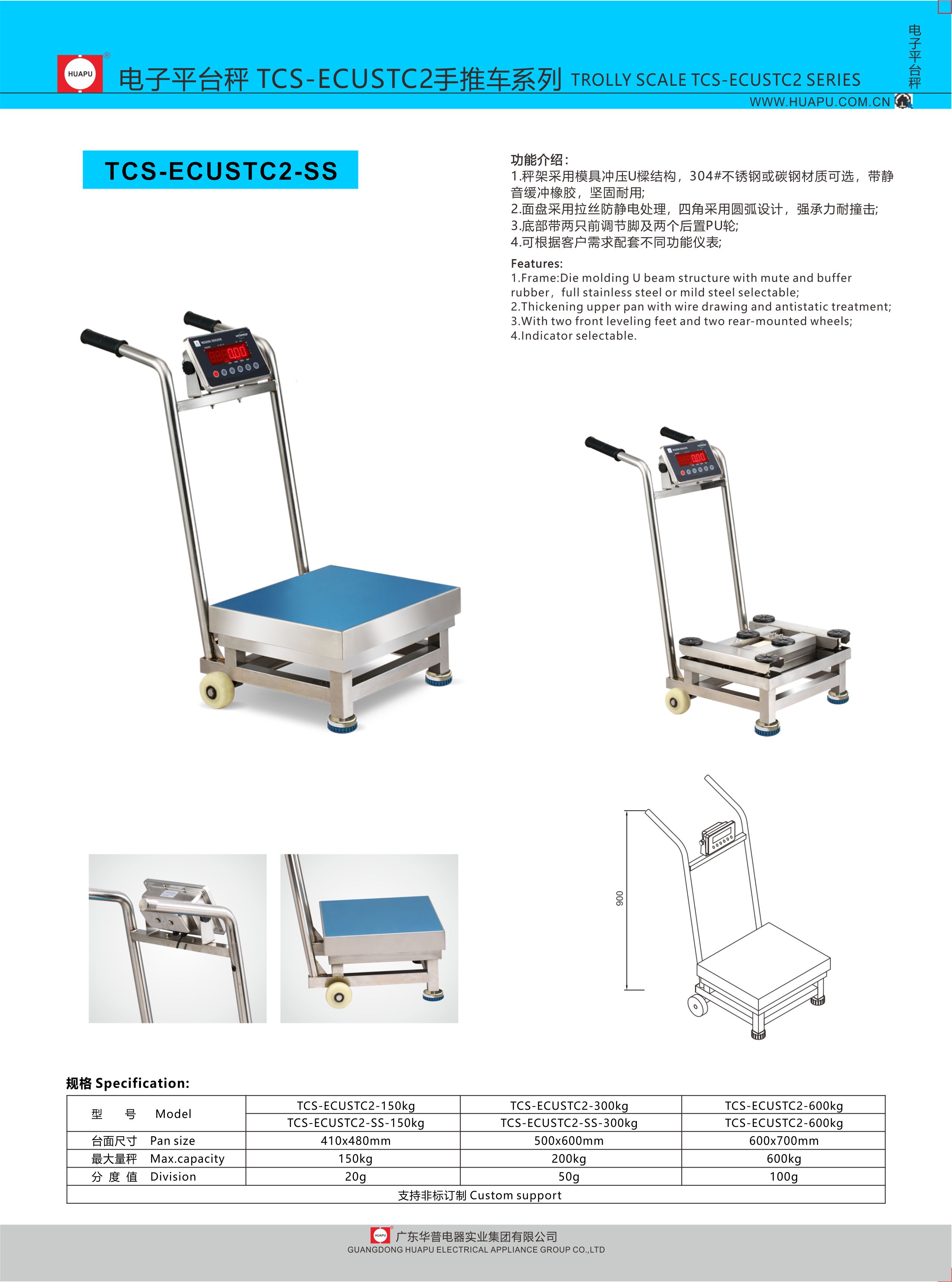 Stationary Digital Weighing Scale