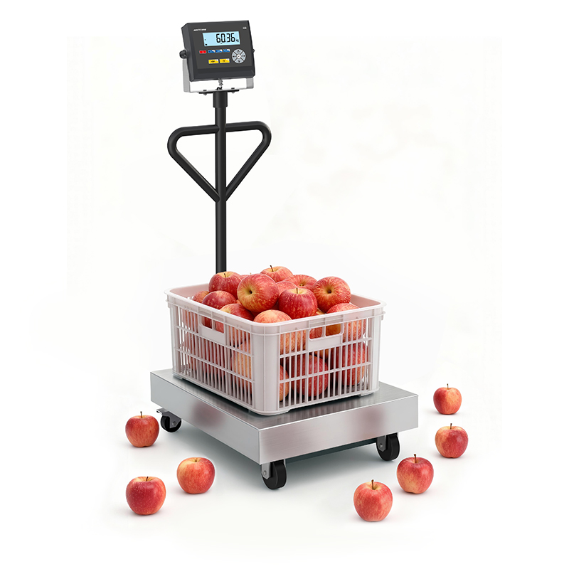 Affordable Platform Scale