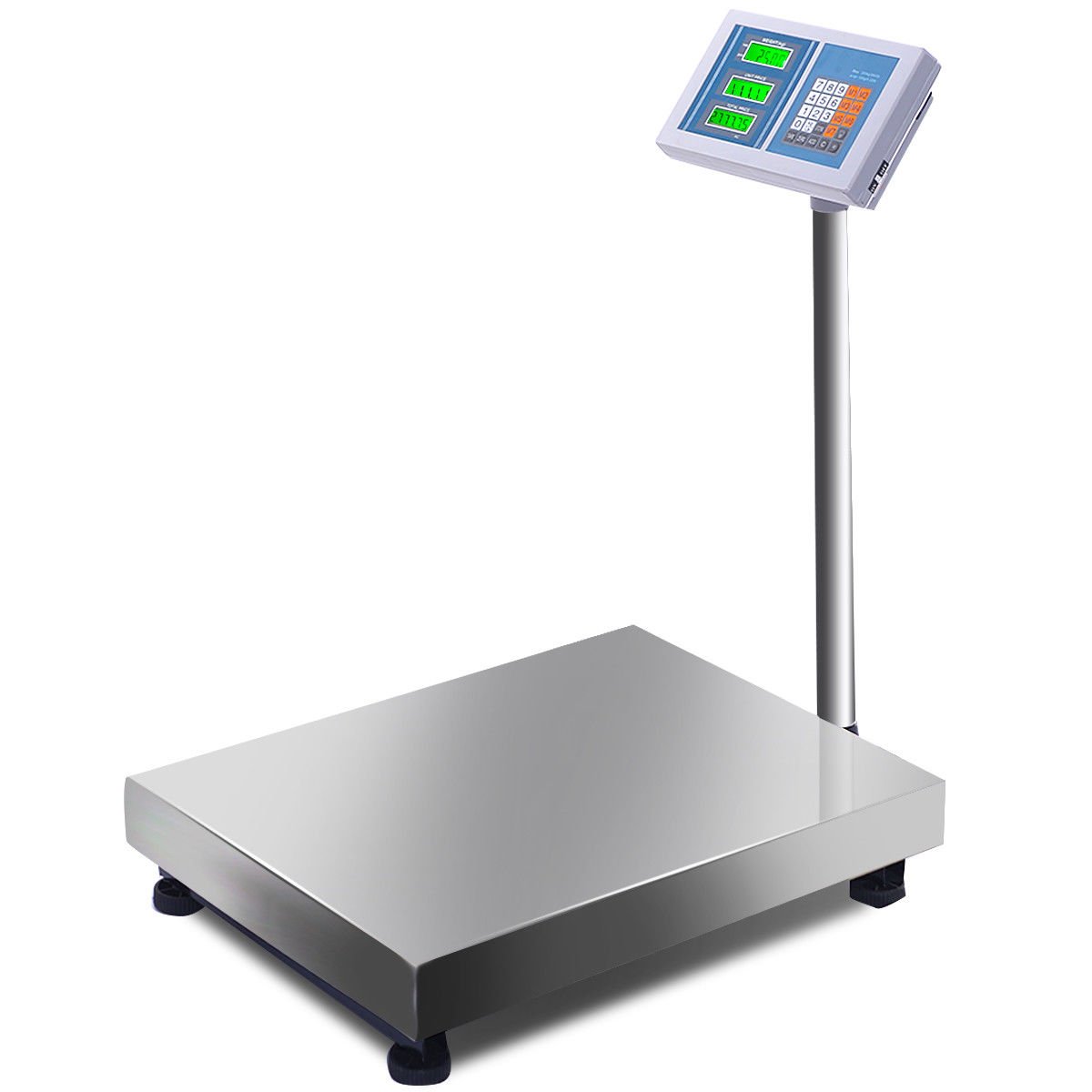 Normal Range  Stainless steelPlatform Scales with Limit Alarms