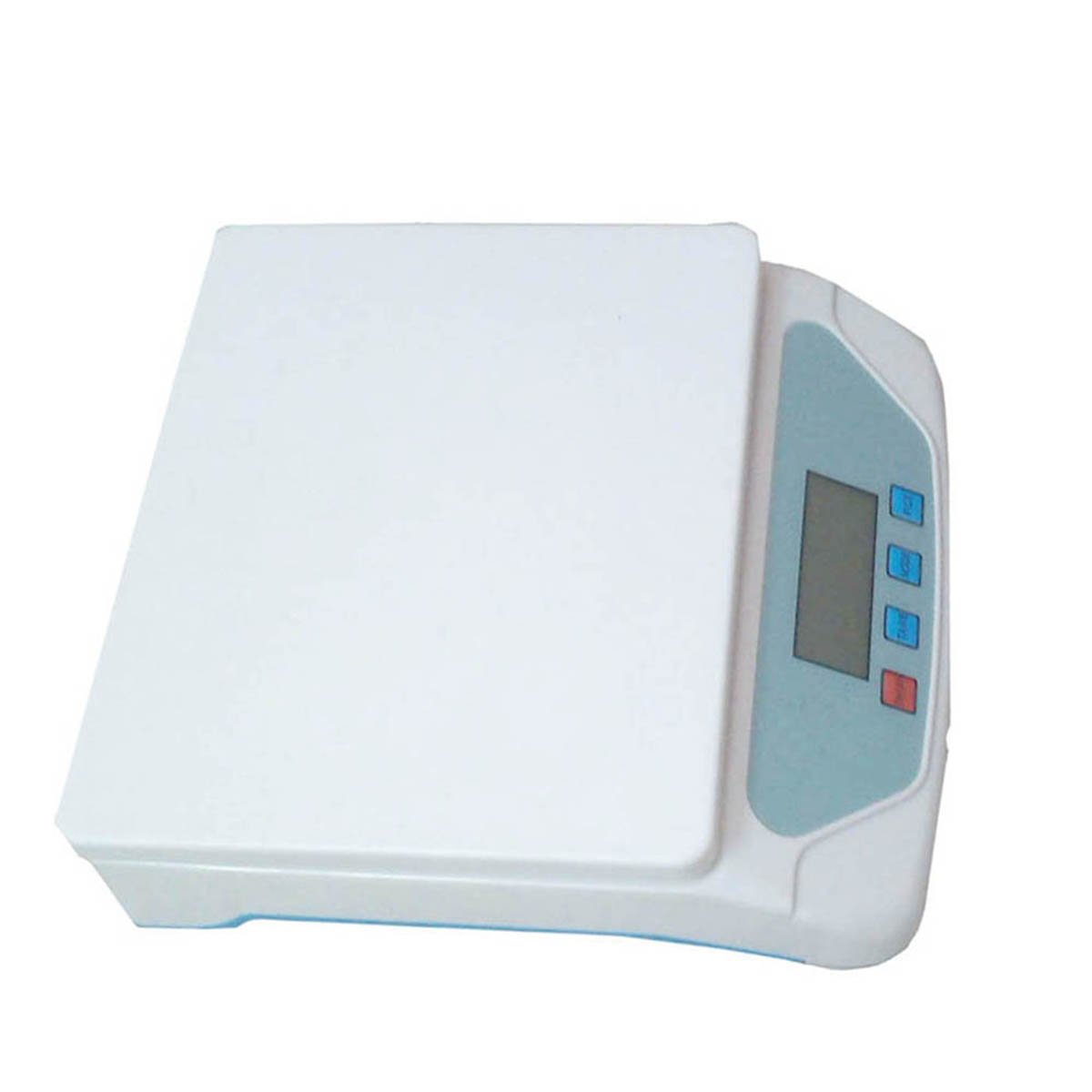 Waterproof High-Precision 5g Fish Balance Scale