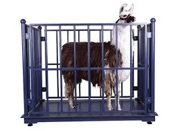 Large LCD Display Digital Animal Weighing Scale – 1500 kg