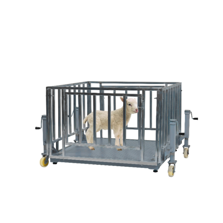 Digital Veterinary Weighing Scales for Dogs and Cats (150 kg)