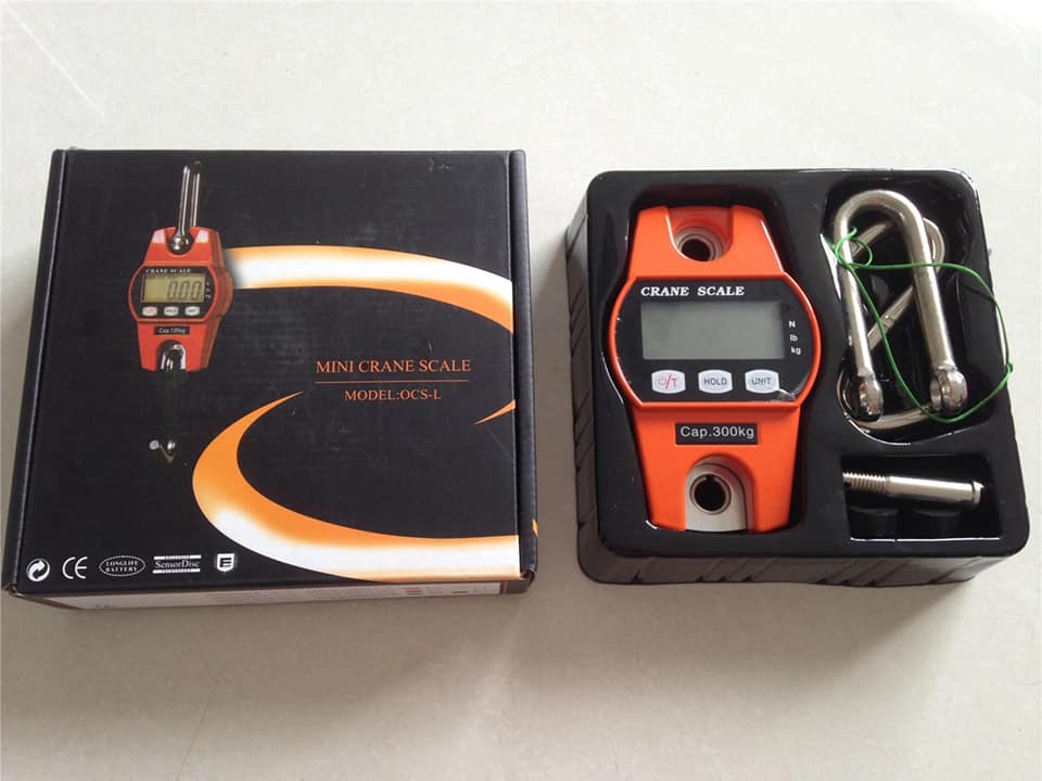 Increase Productivity With Your Light Duty Crane Scales