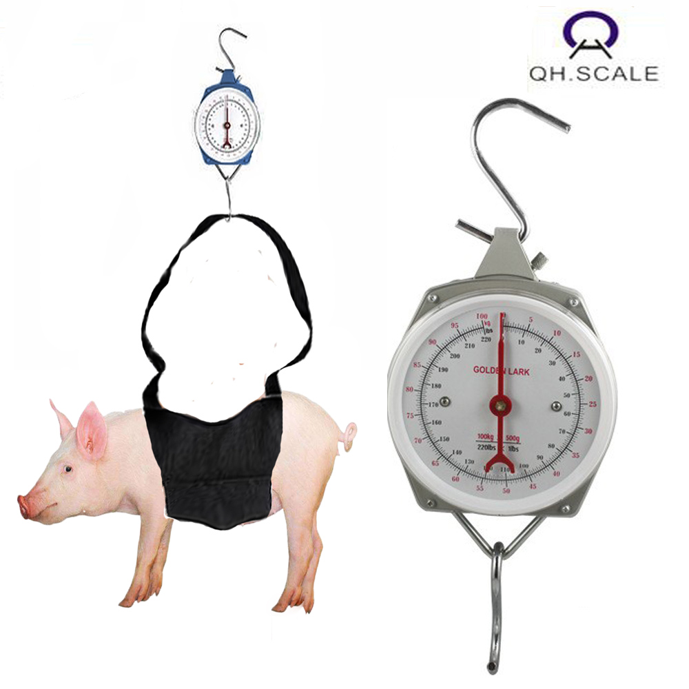 veterinary animal weighing scale with stainless steel cover verification
