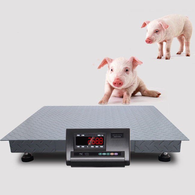 pigs' weighing scale with alloy steel load cells by trader