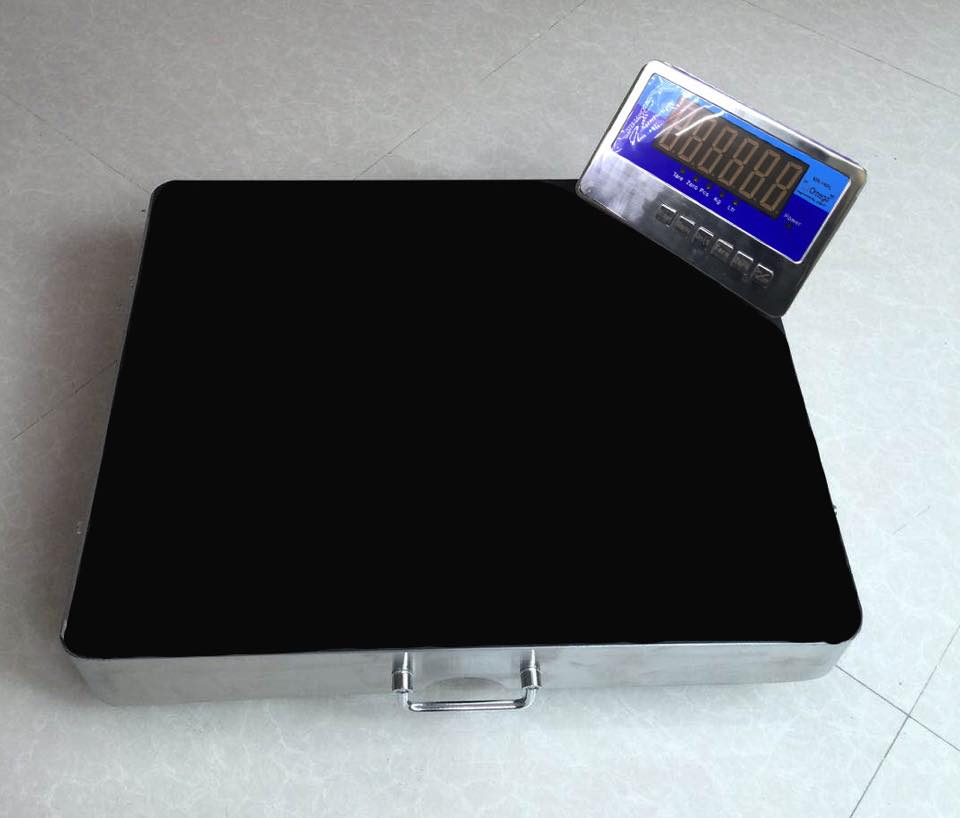 checkered plate floor scales with integrated or optional ramps