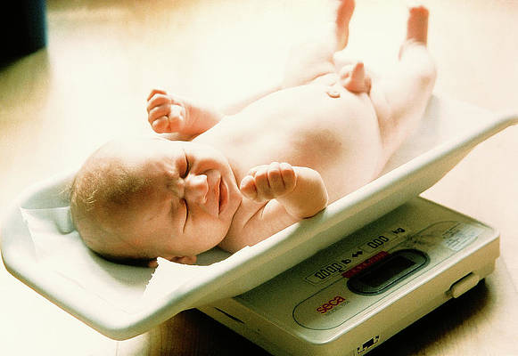 20kg  Baby Scale With Tray for sale