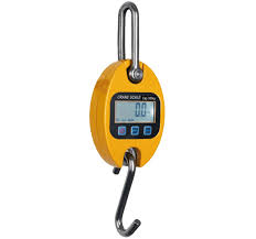 300kg Industrial LCD Digital crane weighing scale