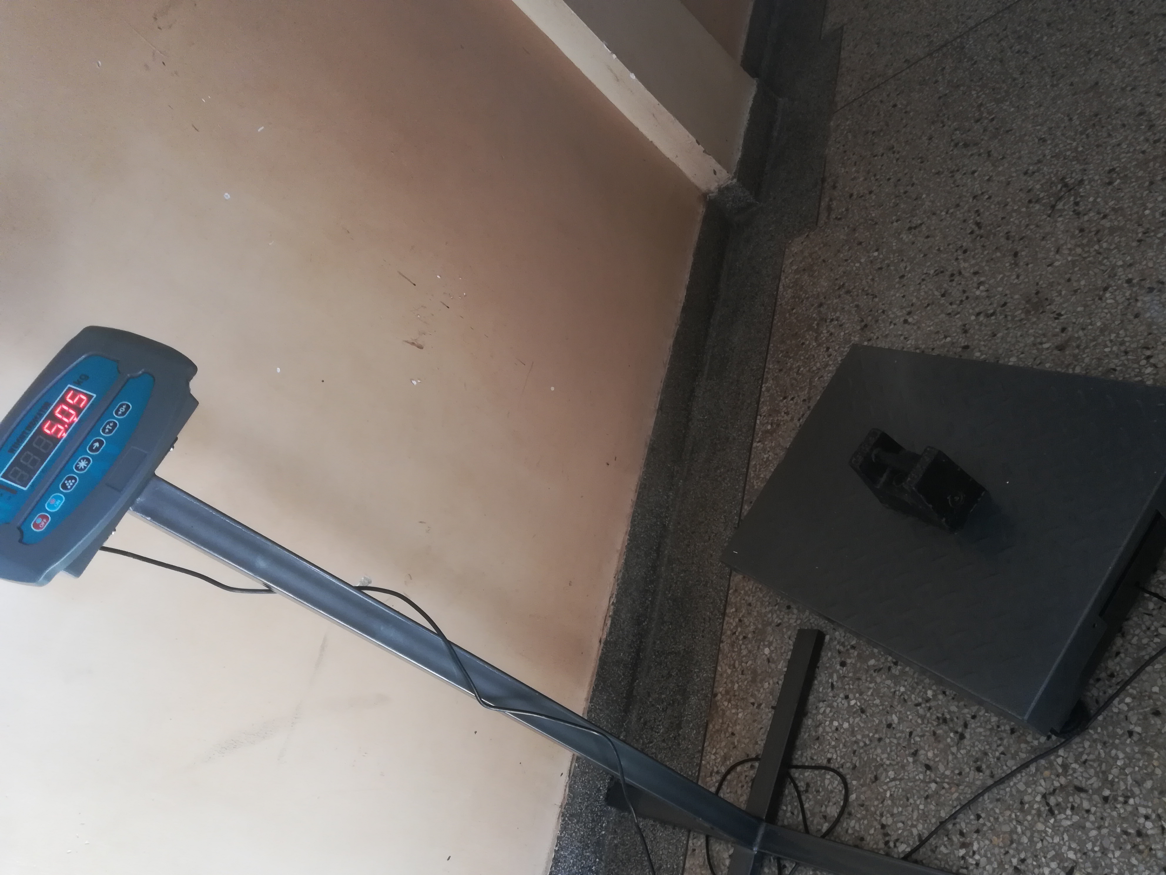 Wholesaler Use Digital Platform Weighing Scale