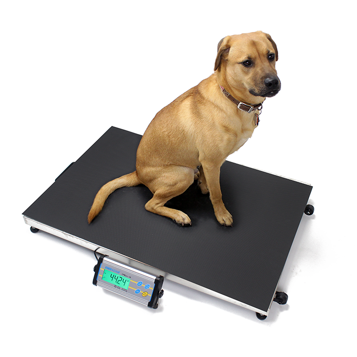 Recommended Scale Specifications (300kg – 500kg)