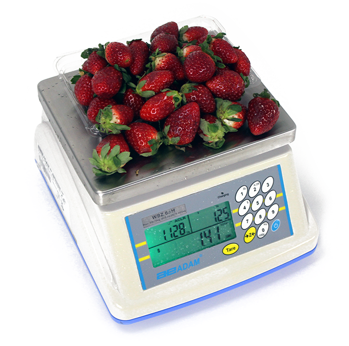 Where to buy table top weighing scales in Kampala