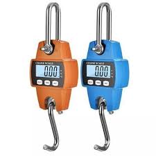 Accurate Digital Crane Weighing Scales