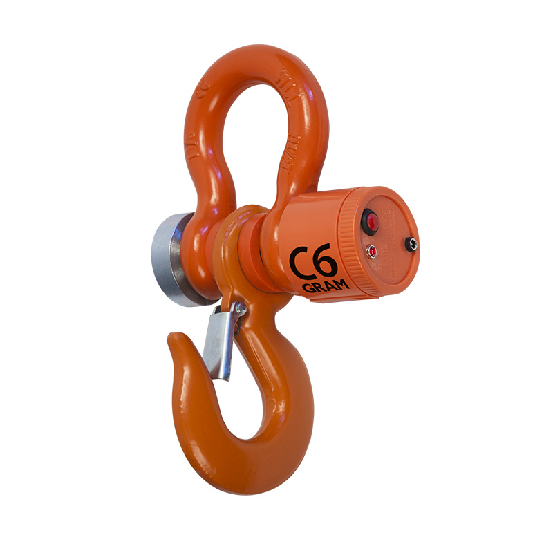 Electronic Hook Hanging Scale – 300 kg × 0.05 kg