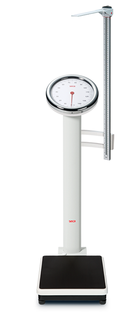 Functionable height and weight scale