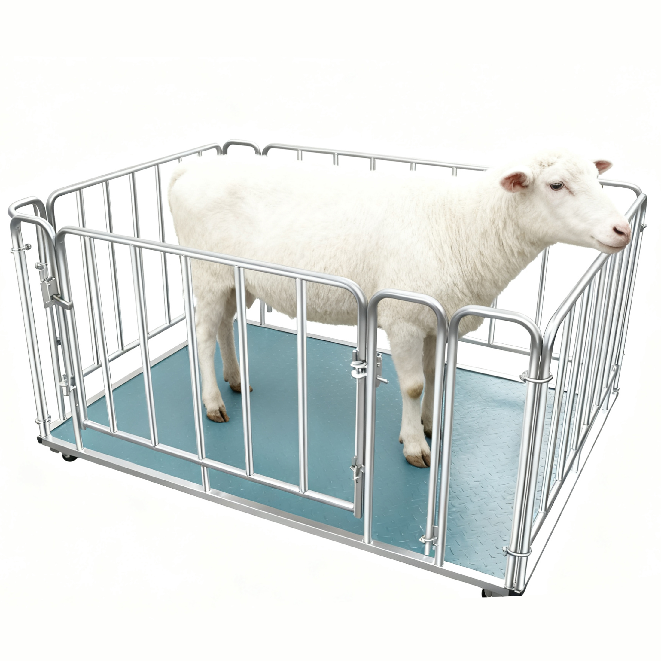 Rabbit Weighing Scale – Precision Small Animal Scale in Tororo-district